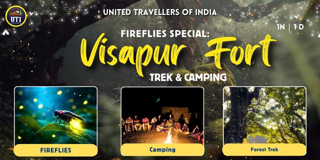 media-desktop-fireflies-special-visapur-fort-trek-camping-0-2026-5-29-t-11-18-12.jpg