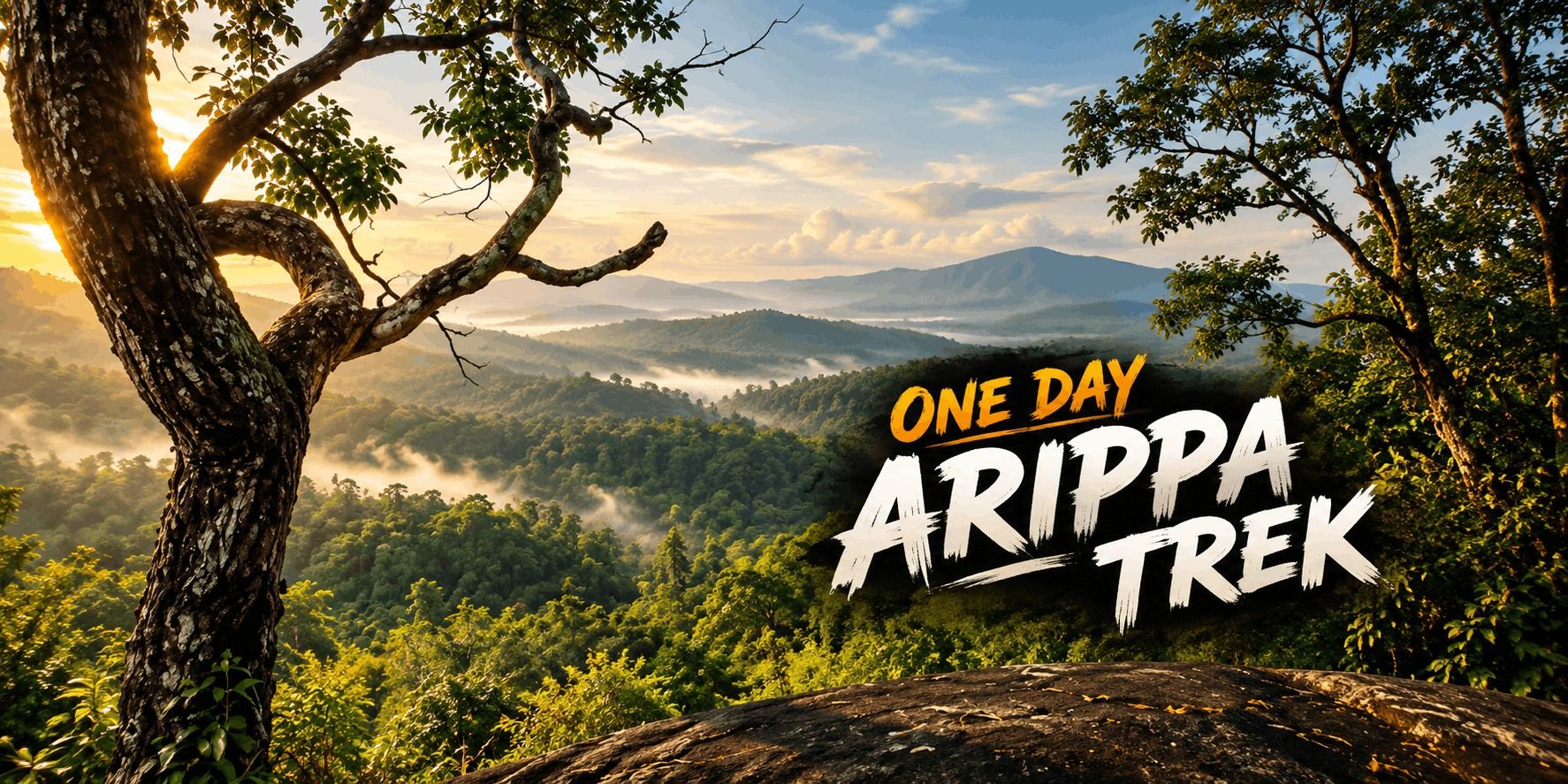 media-desktop-fitness-trek-to-arippa-1-2026-10-1-t-17-16-23.jpg