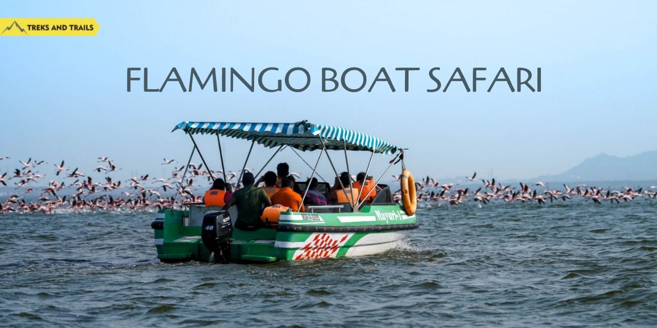 media-desktop-flamingo-boat-safari-treks-trails-0-2024-3-30-t-10-50-30.jpg