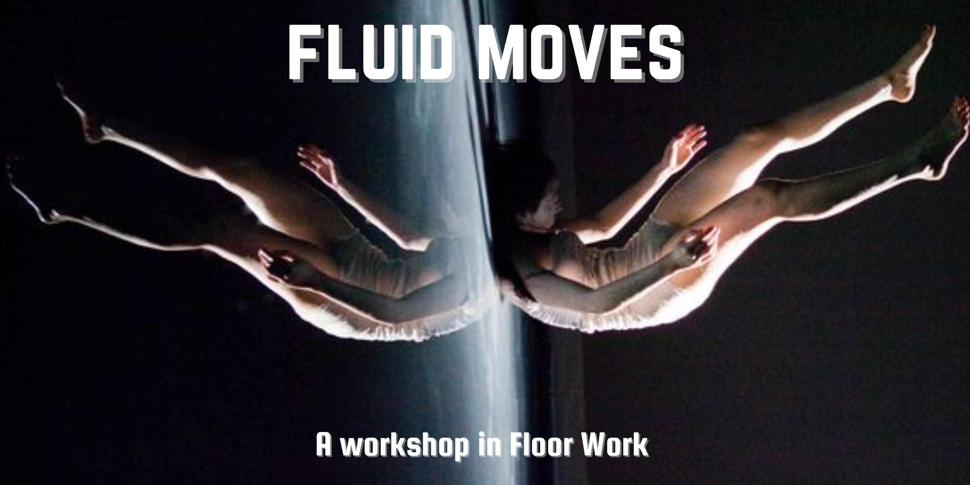 media-desktop-fluid-moves-0-2023-11-28-t-7-18-50.jpg