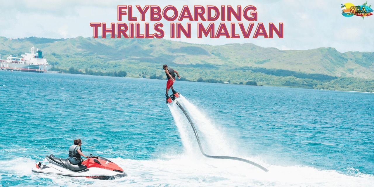 media-desktop-flyboarding-in-malvan-0-2024-2-13-t-11-2-11.jpg