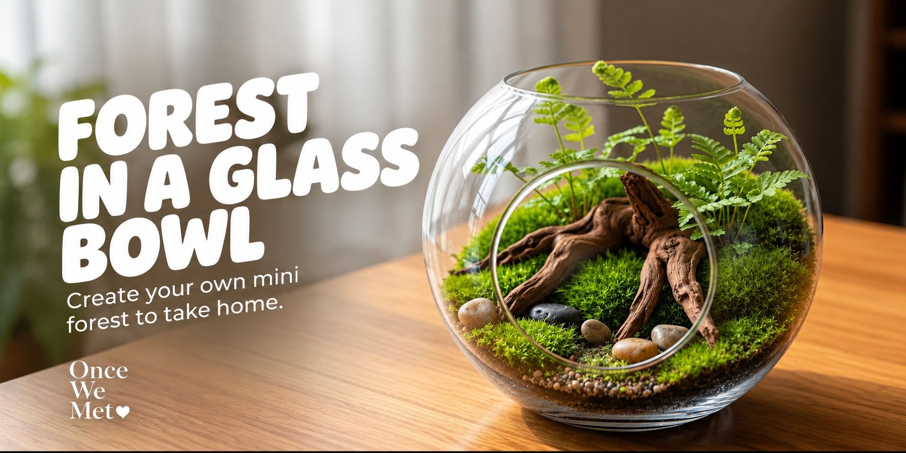 media-desktop-forest-in-a-grass-bowl-0-2026-10-16-t-5-19-58.jpg
