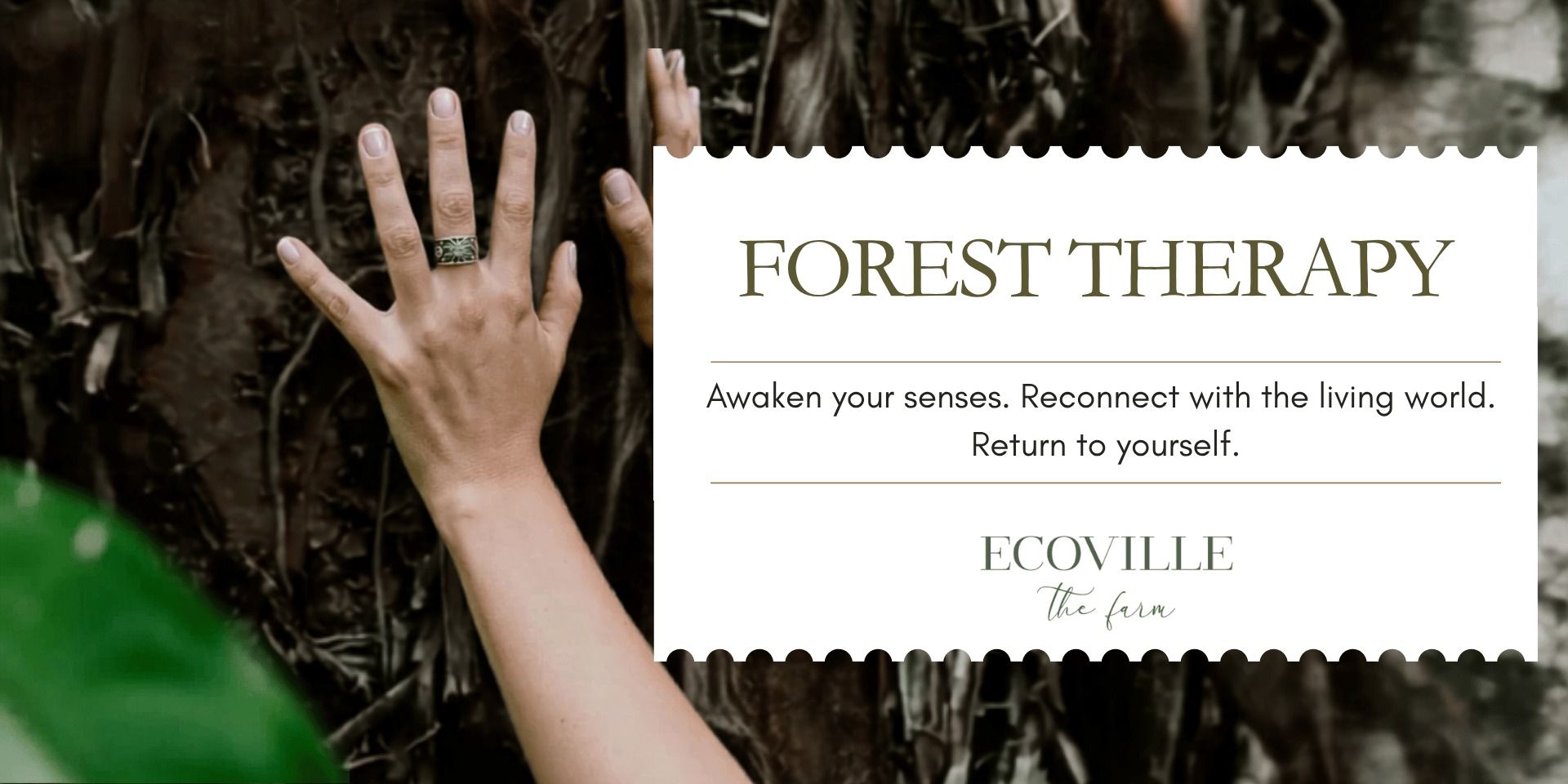 media-desktop-forest-therapy-0-2026-7-12-t-11-45-3.jpg