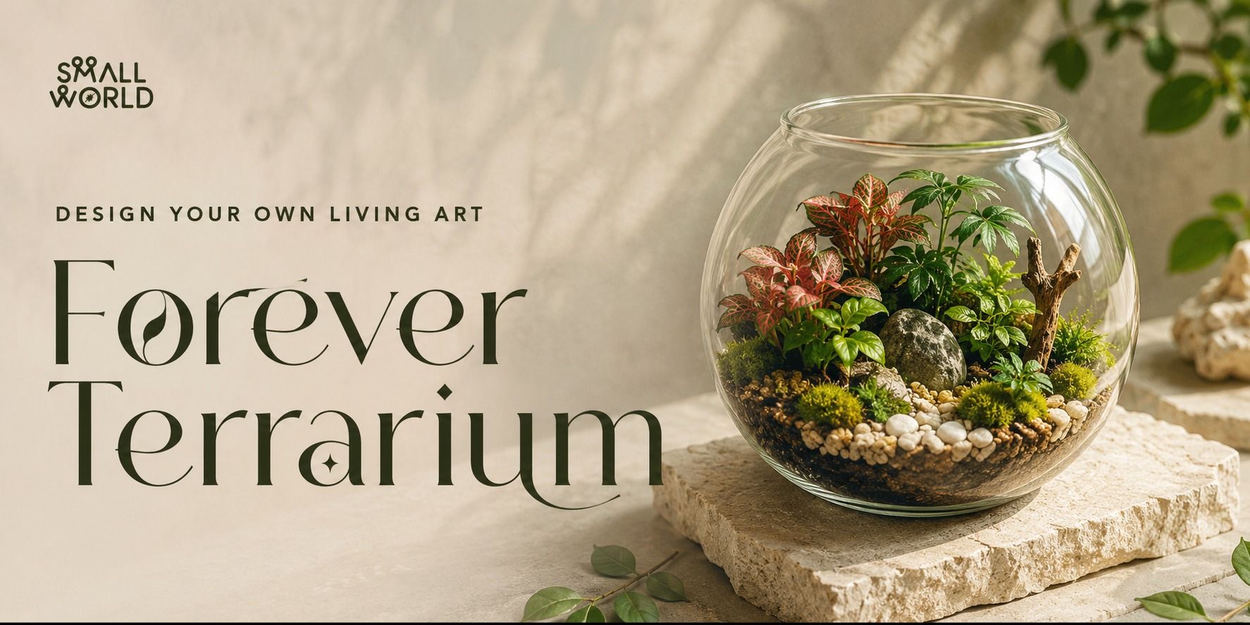 media-desktop-forever-terrarium-1-2026-6-26-t-7-56-22.jpg