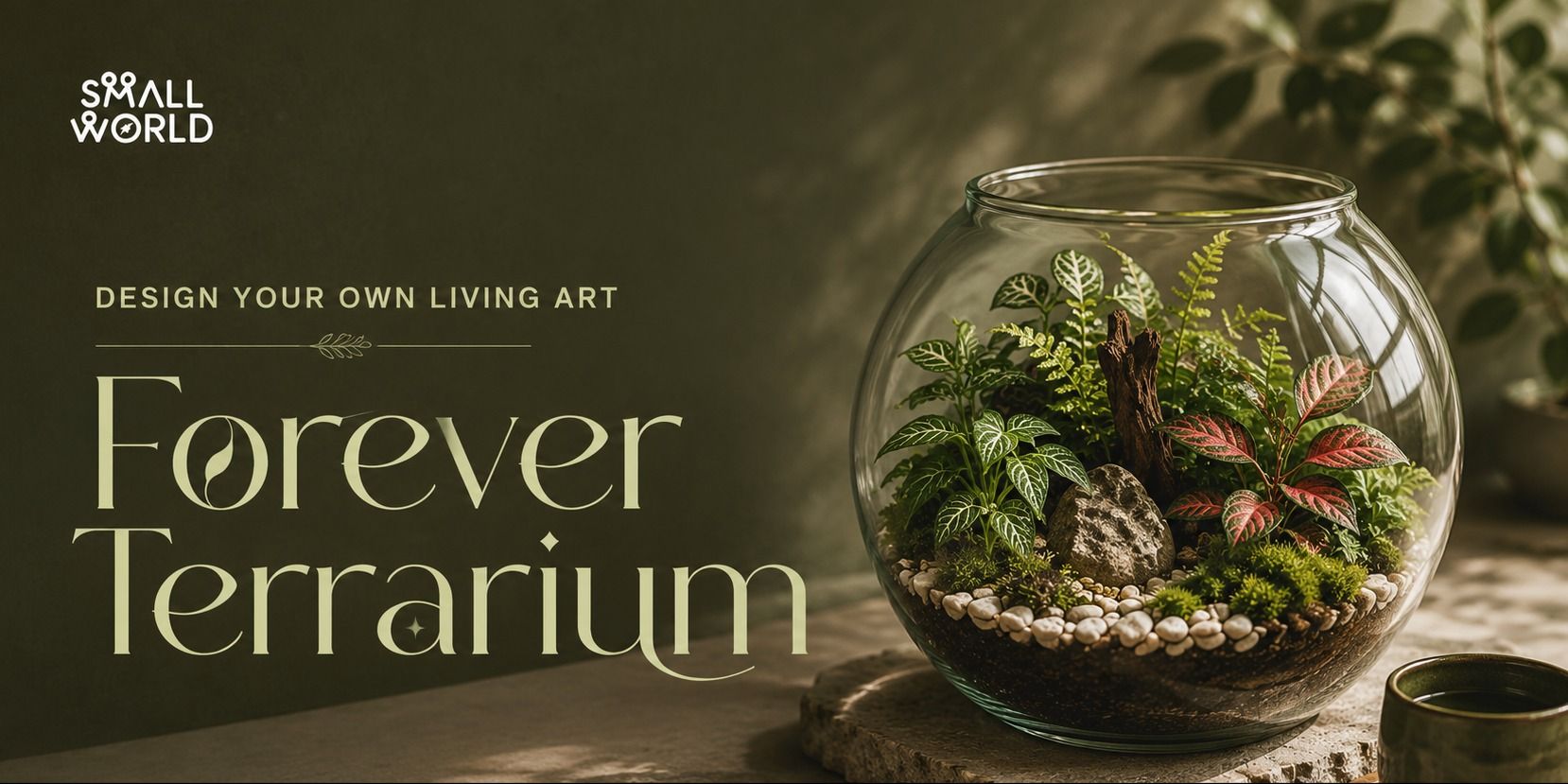 media-desktop-forever-terrarium-2-2026-6-26-t-7-56-22.jpg