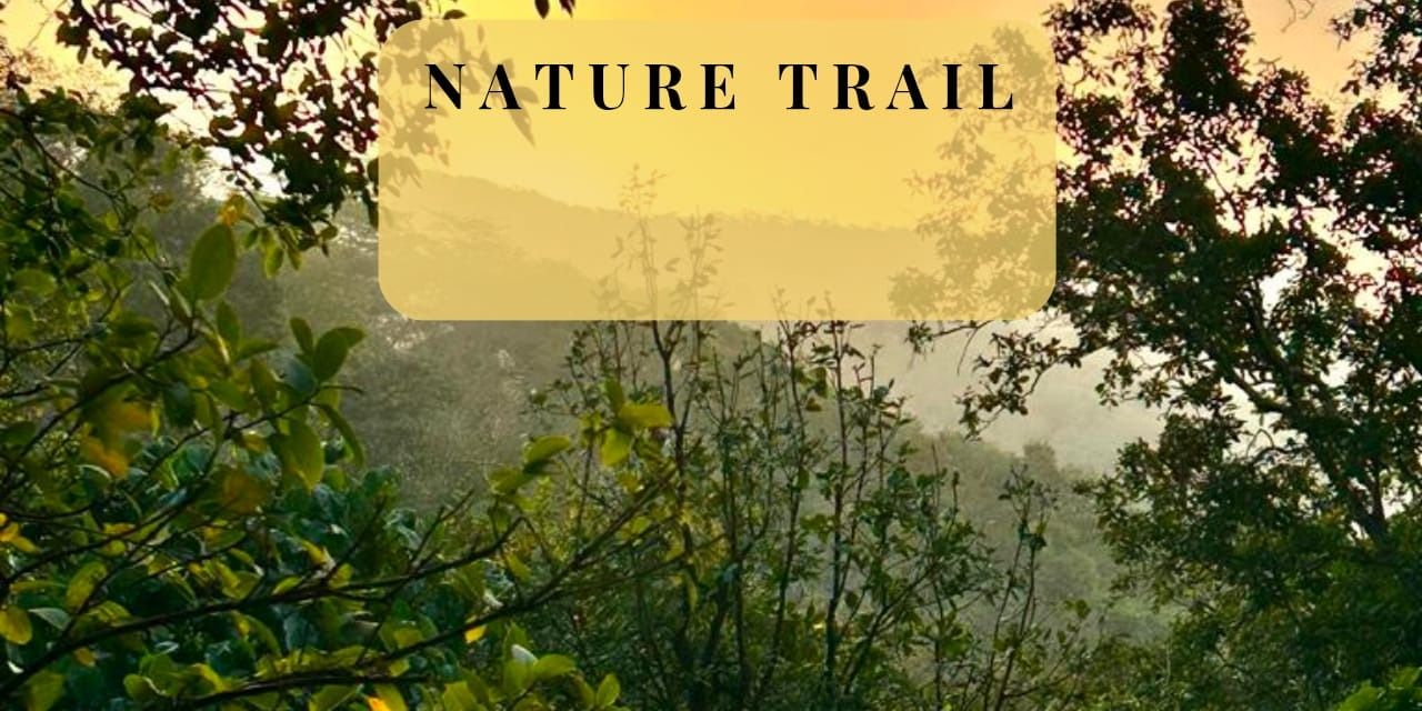 media-desktop-gaimukh-nature-trek-0-2025-4-16-t-14-25-17.jpg