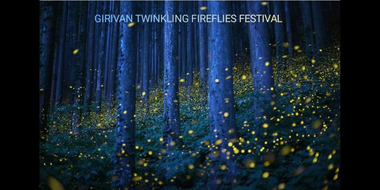 media-desktop-girivan-twinkling-fireflies-festival-0-2024-5-16-t-5-5-31.jpg