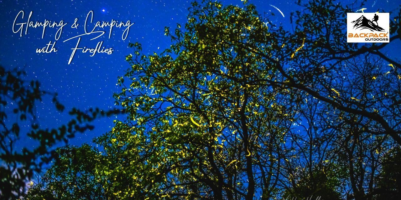 media-desktop-glamping-camping-with-fireflies-0-2024-4-19-t-3-18-50.jpg