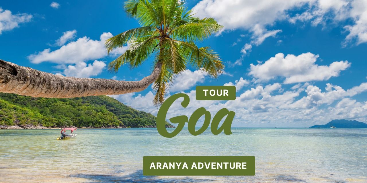 media-desktop-goa-trip-by-aranya-adventure-0-2025-1-23-t-5-19-2.jpg
