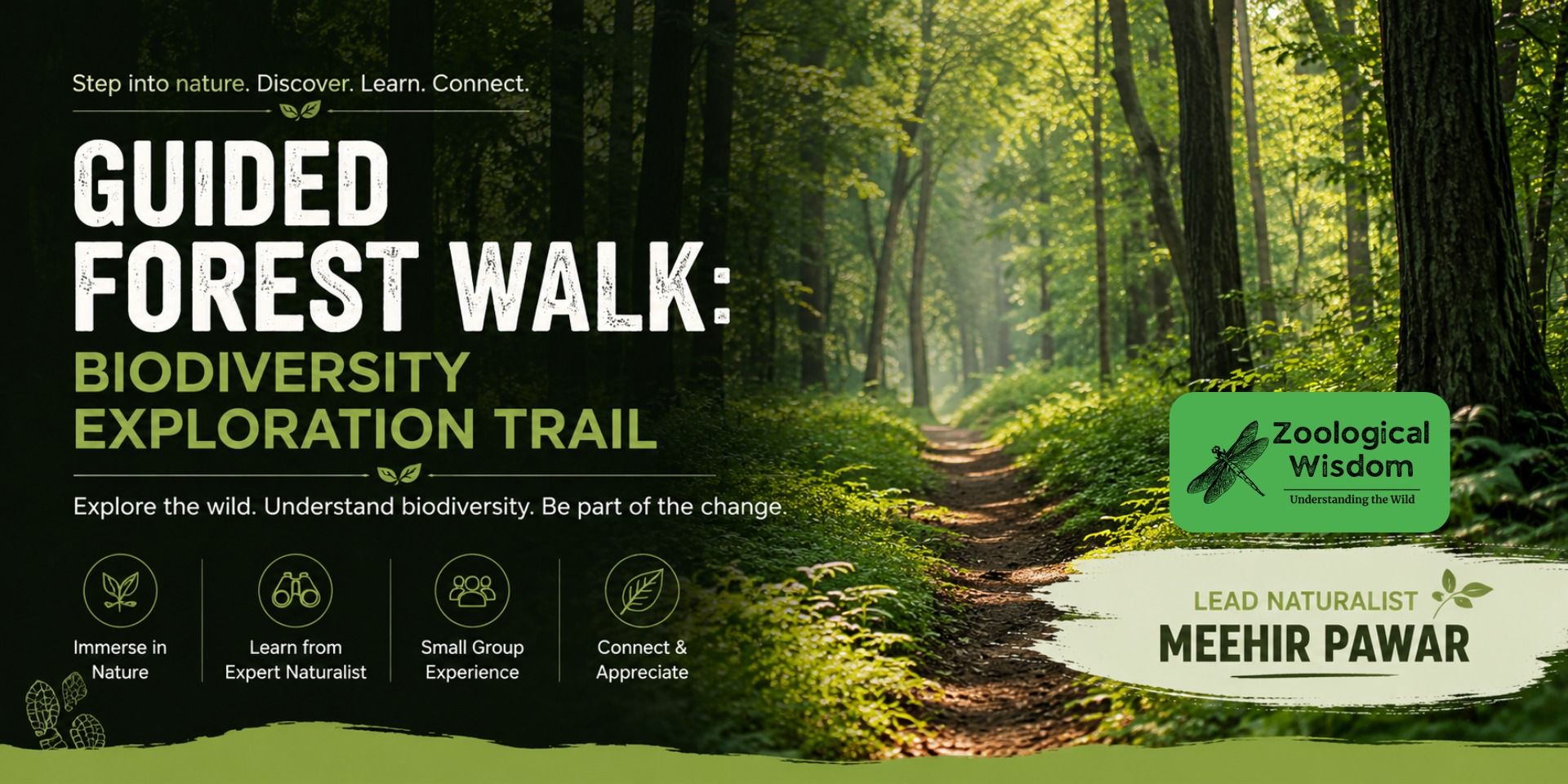 media-desktop-guided-forest-walk-biodiversity-exploration-trail-0-2026-6-23-t-16-31-18.jpg