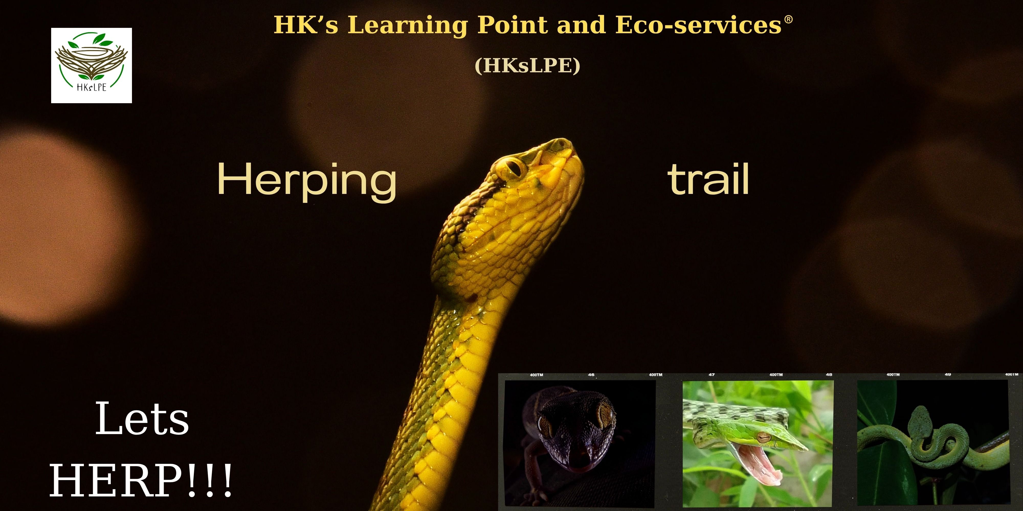 media-desktop-herping-trail-at-matheran-0-2026-6-29-t-7-39-14.jpg