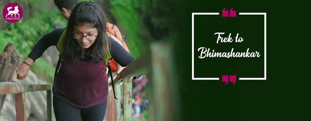 media-desktop-hikerwolf-trek-to-bhimashankar-2019-5-28-t-14-46-41.jpg