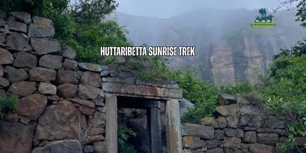 media-desktop-huttari-betta-sunrise-trek-1d-by-tfgw-0-2026-2-10-t-12-50-42.jpg