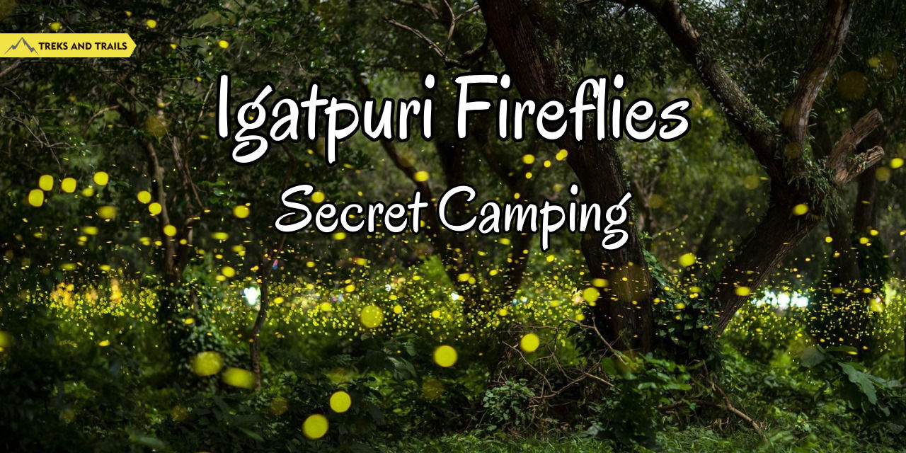 media-desktop-igatpuri-fireflies-secret-camping-treks-trails-0-2023-4-19-t-10-57-48.jpg