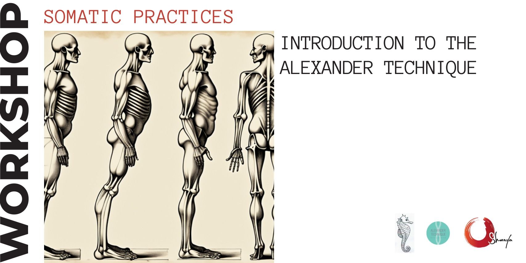 media-desktop-introduction-to-the-alexander-technique-0-2023-8-31-t-14-12-21.jpg