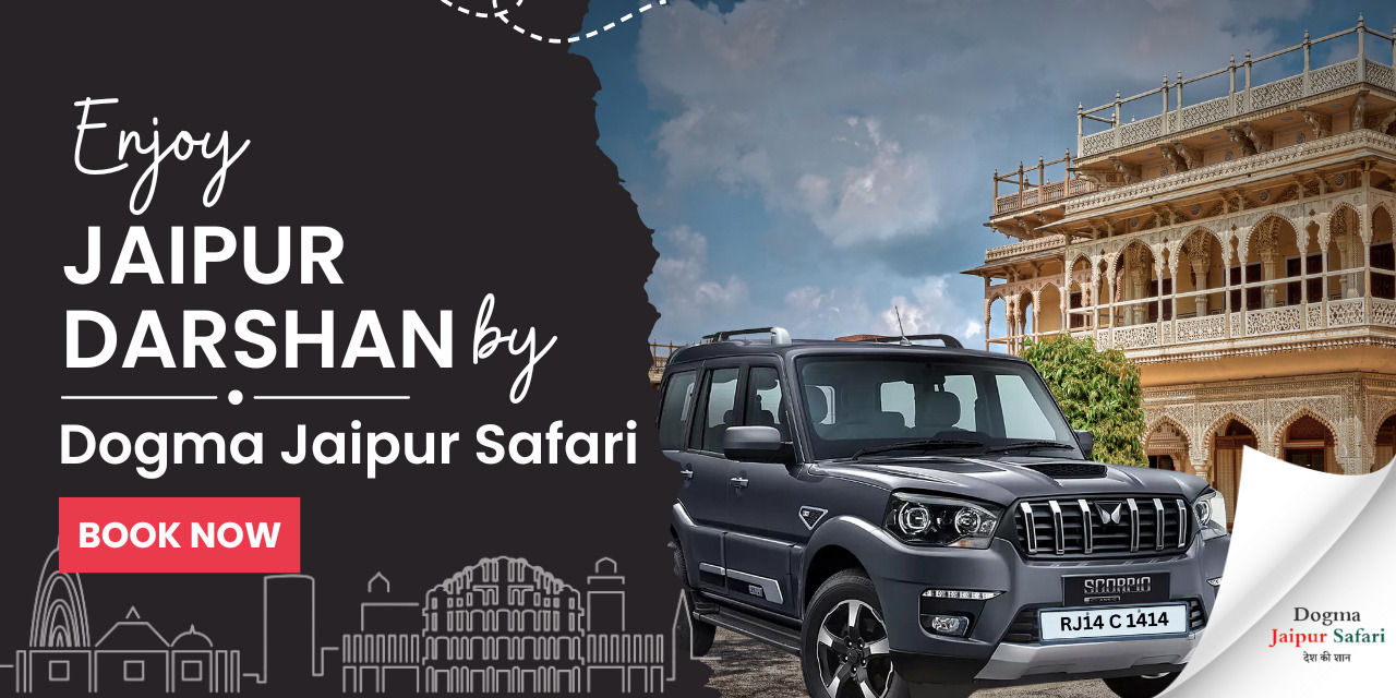 media-desktop-jaipur-darshan-by-dogma-jaipur-safari-private-cab-0-2024-5-8-t-7-57-55.jpg