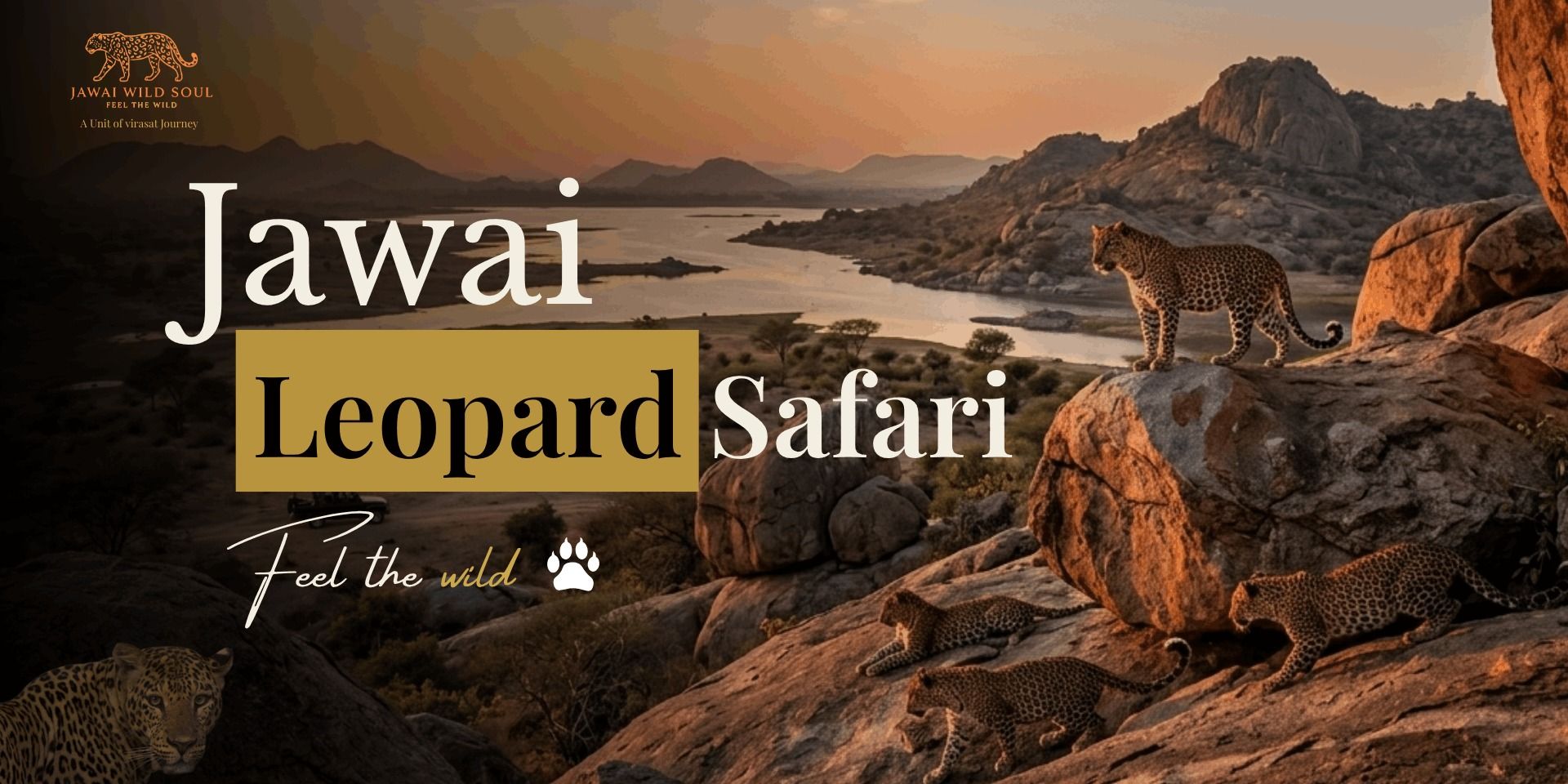 media-desktop-jawai-safari-experience-0-2026-7-29-t-9-51-53.jpg