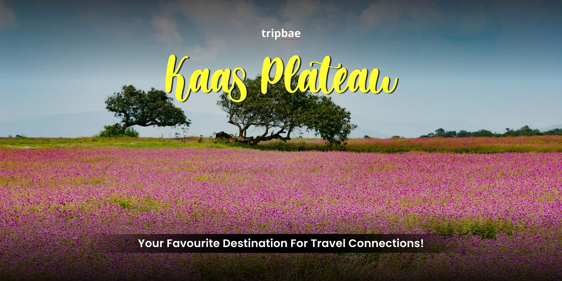 media-desktop-kaas-plateau-by-tripbae-0-2026-10-19-t-19-46-12.jpg