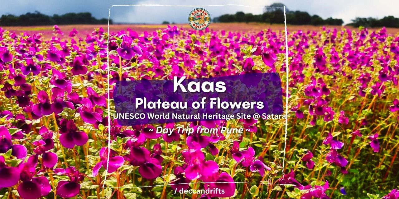 media-desktop-kaas-plateau-of-flowers-day-trip-from-pune-0-2025-9-8-t-2-23-45.jpg