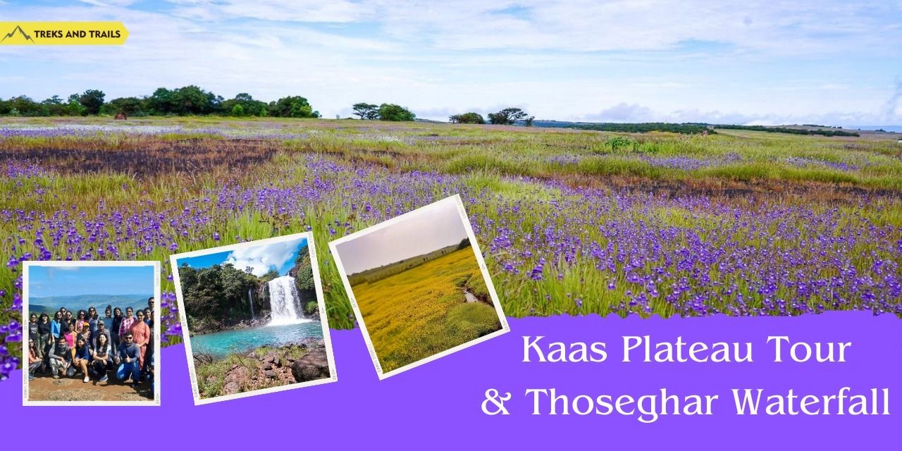 Kaas Plateau Tour from Pune - Ac Bus