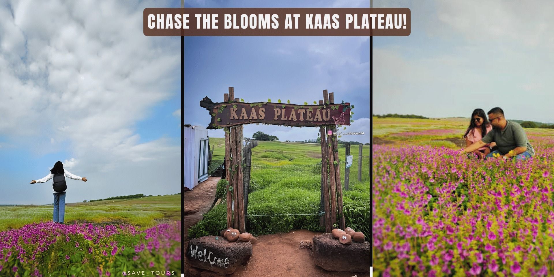 media-desktop-kaas-trip-with-sajjangad-thoseghar-waterfall-1-2026-8-17-t-11-51-39.jpg