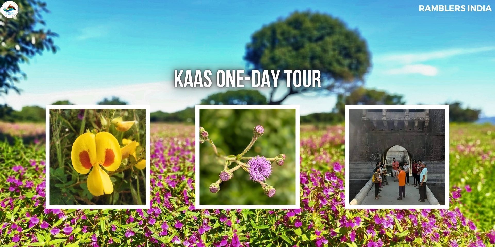 media-desktop-kaas-valley-of-flowers-0-2026-9-24-t-16-52-25.jpg