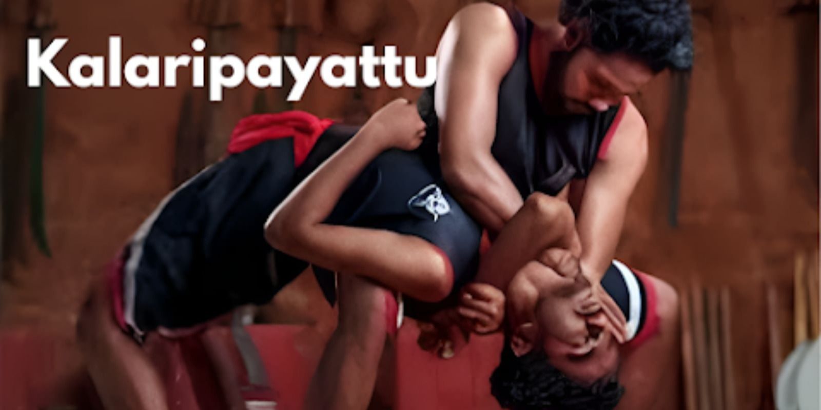 media-desktop-kalaripayattu-martial-arts-0-2025-5-22-t-5-49-23.jpg