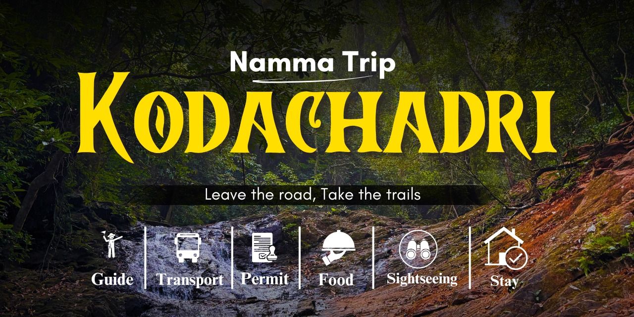 media-desktop-kodachadri-trek-0-2025-3-1-t-9-41-23.jpg