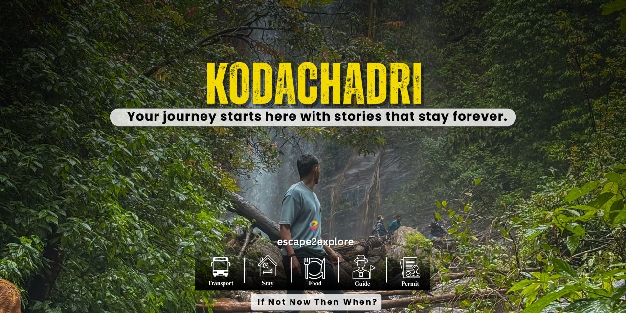 media-desktop-kodachadri-trek-0-2026-5-25-t-11-2-0.jpg