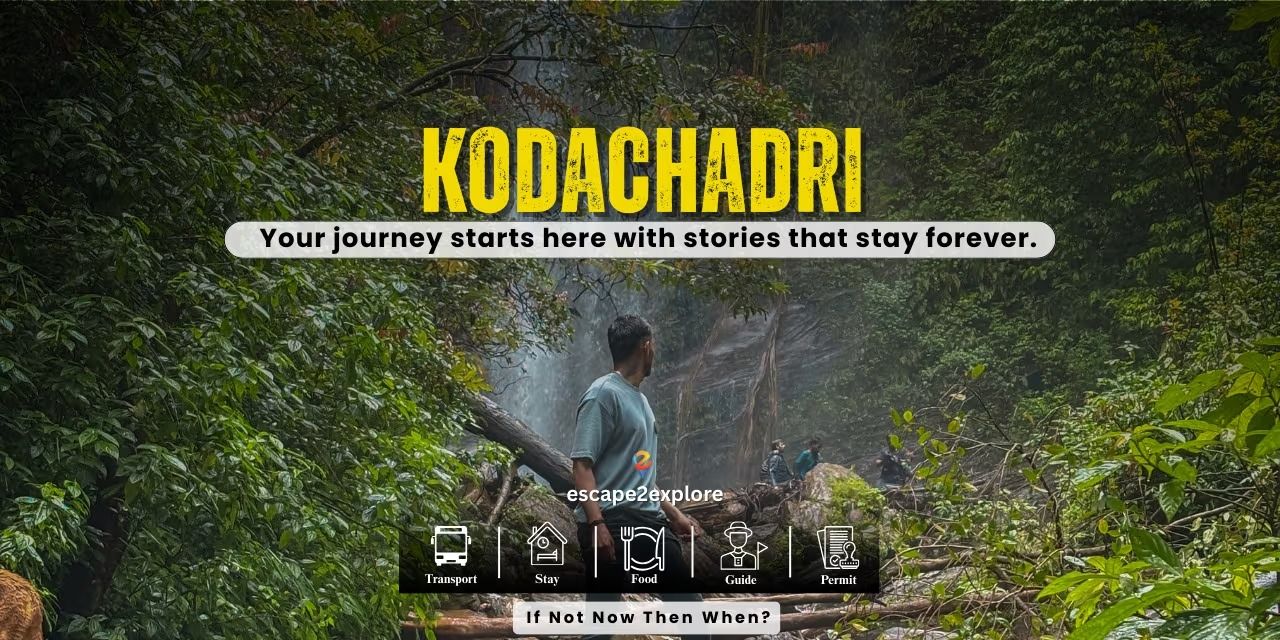 Kodachadri Trek in Bengaluru
