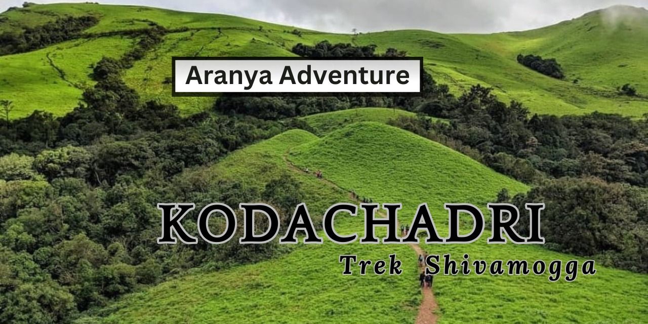 Kodachadri Trek in Bengaluru