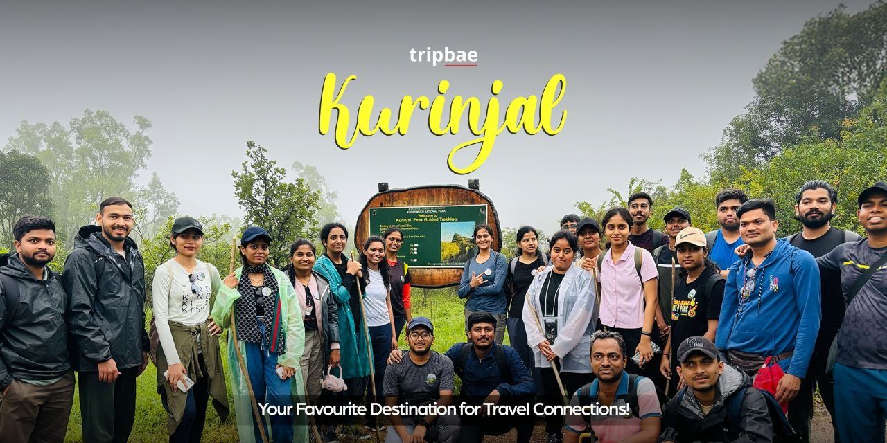media-desktop-kurinjal-one-day-trek-by-tripbae-0-2026-5-18-t-11-34-21.jpg