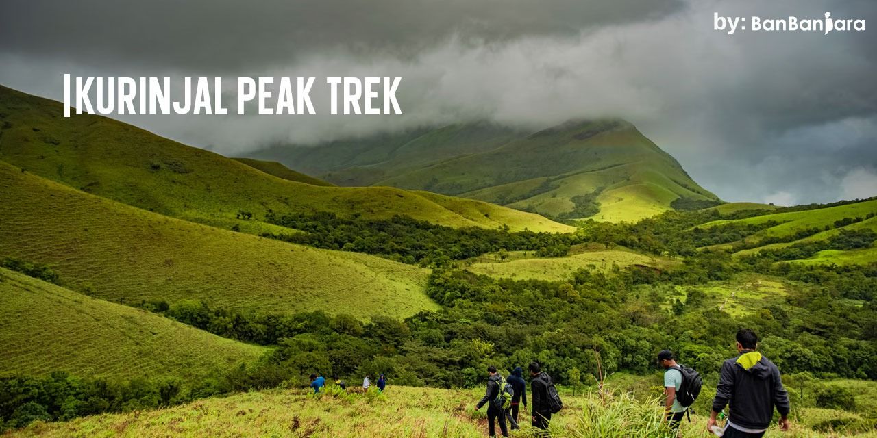 media-desktop-kurinjal-peak-trek-0-2023-12-26-t-10-44-48.jpg