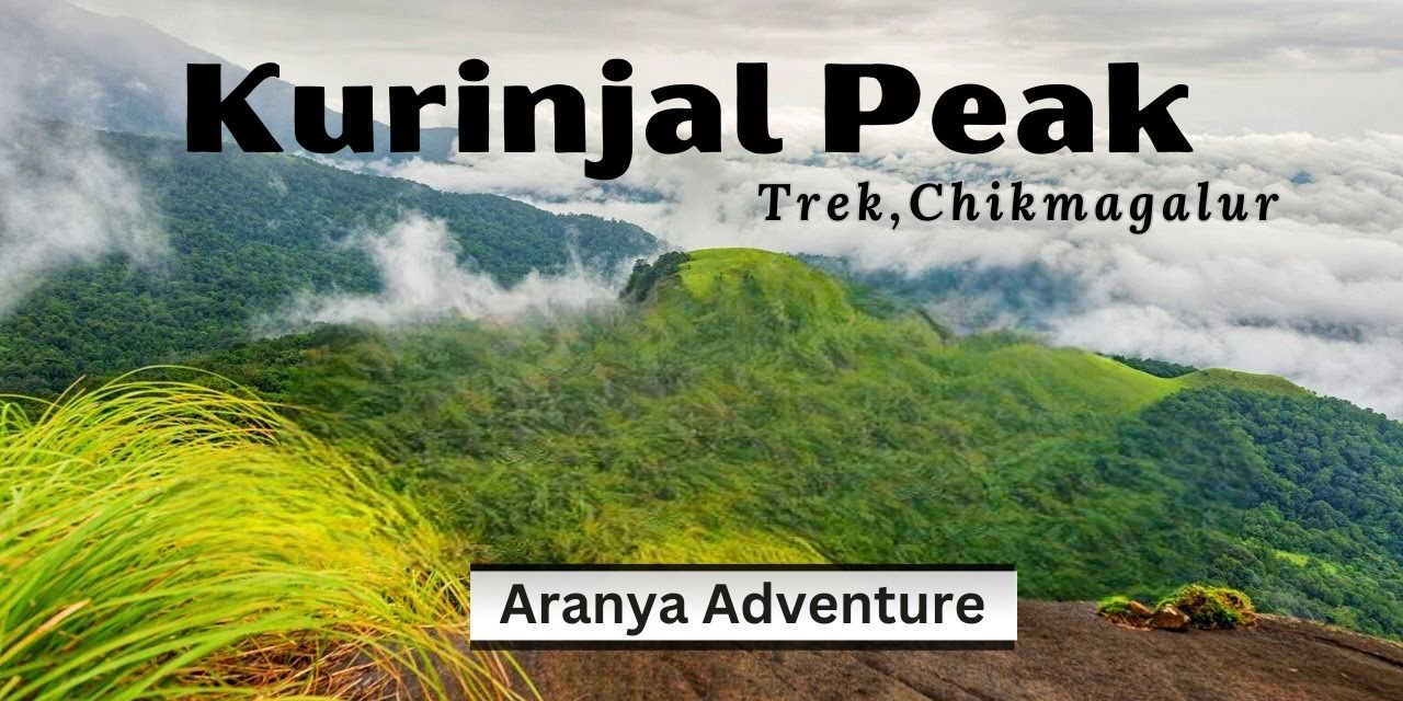 media-desktop-kurinjal-peak-trek-by-aranya-adventure-0-2025-1-23-t-11-32-14.jpg