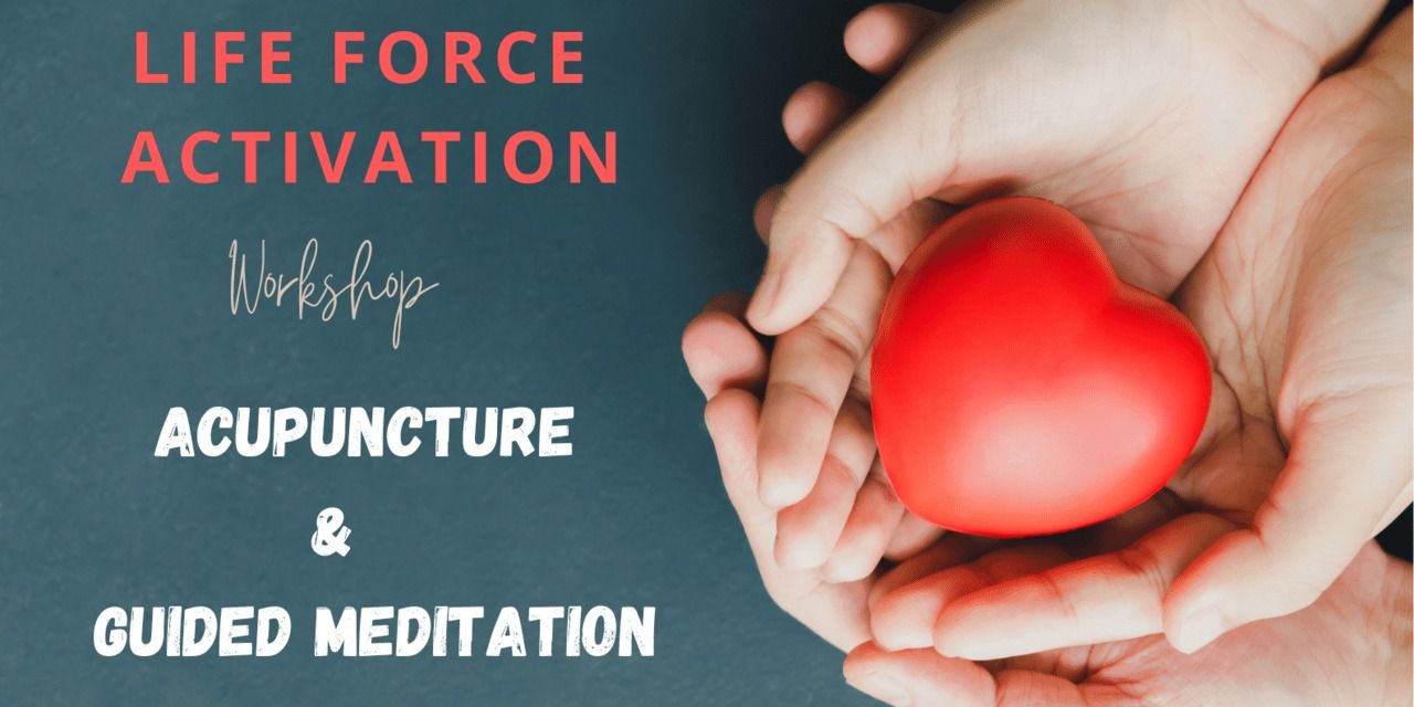 media-desktop-life-force-activation-workshop-0-2024-7-4-t-9-23-42.jpg