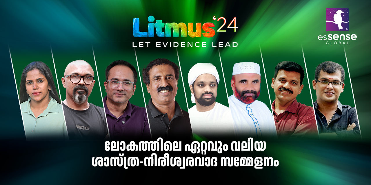 media-desktop-litmus-24-0-2024-9-11-t-16-22-38.jpg