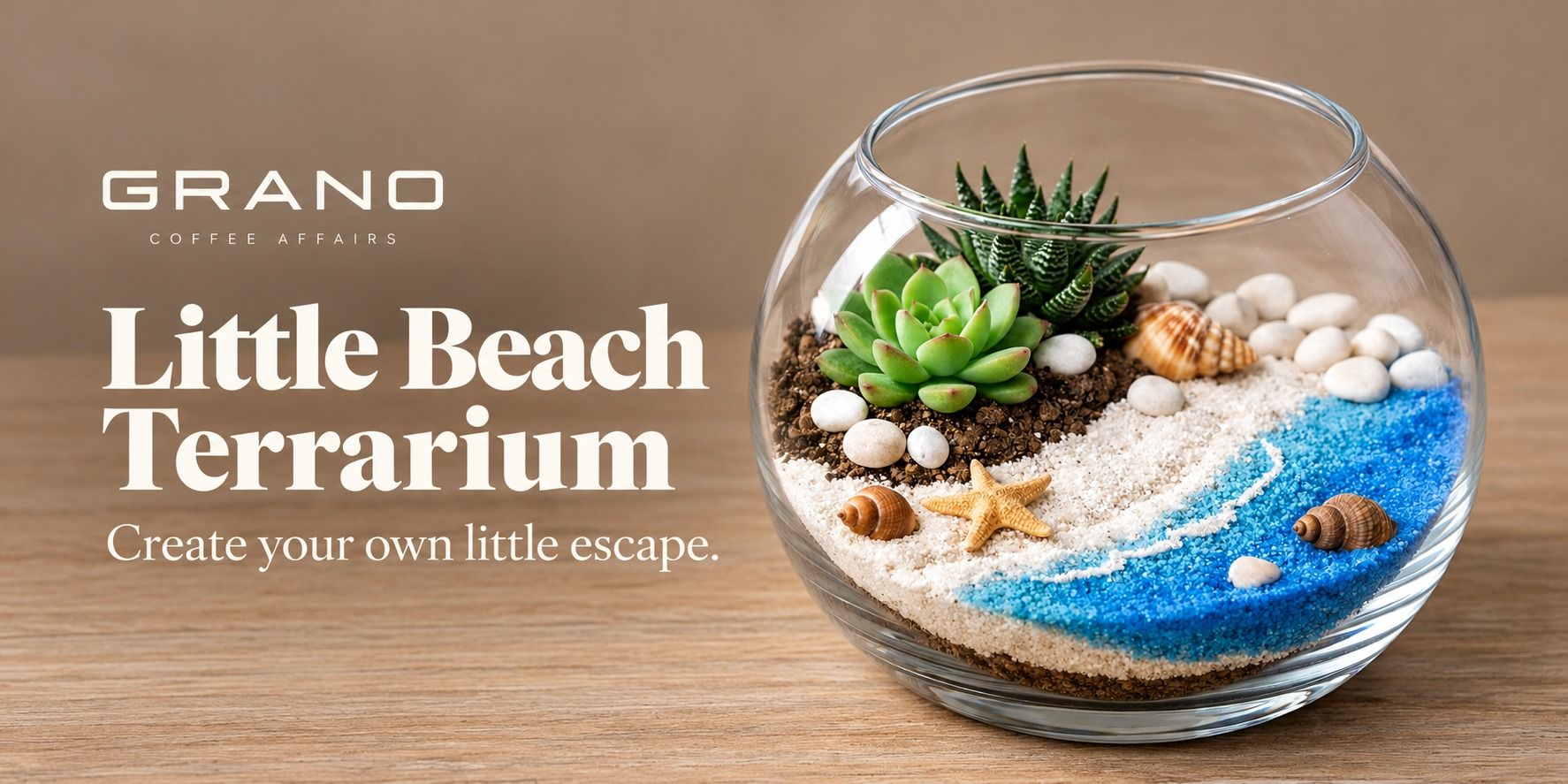 media-desktop-little-beach-terrarium-0-2026-10-26-t-9-34-55.jpg