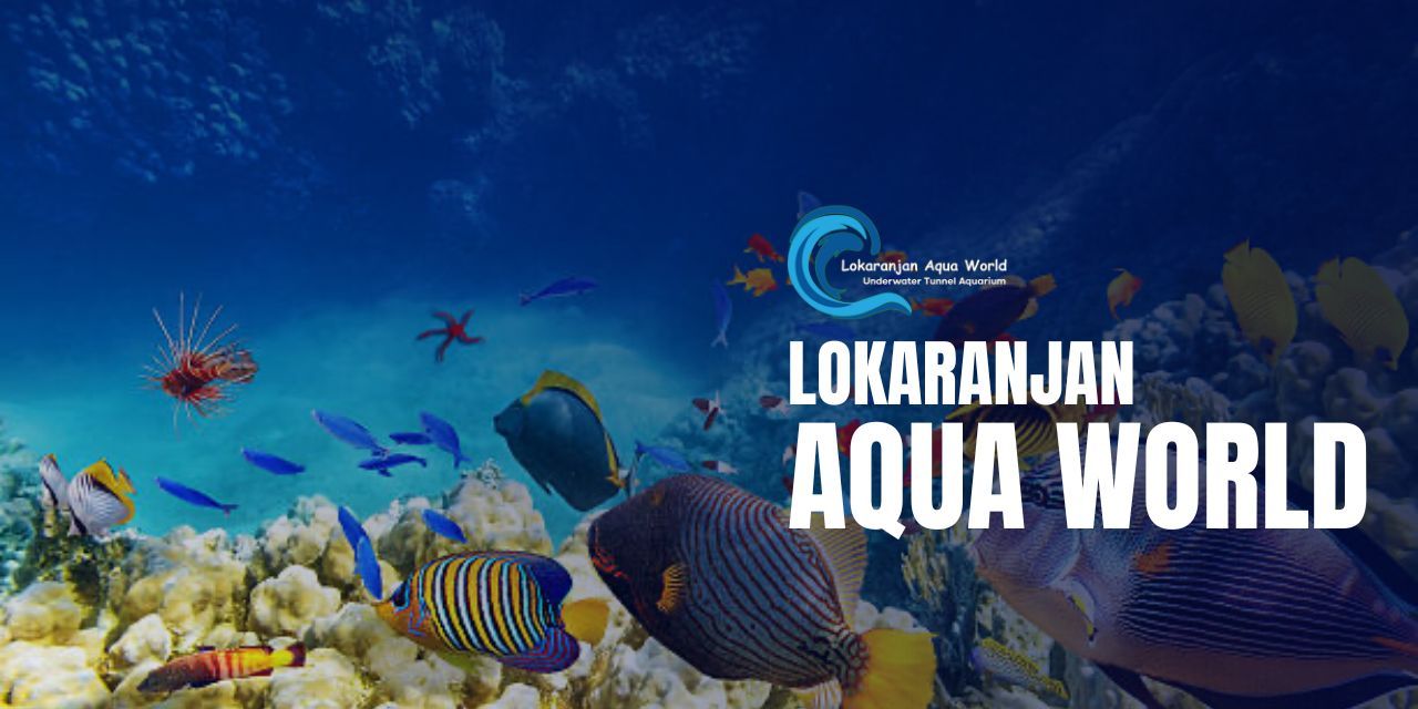 media-desktop-lokaranjan-aqua-world-underwater-zoo-0-2025-6-13-t-9-40-17.jpg