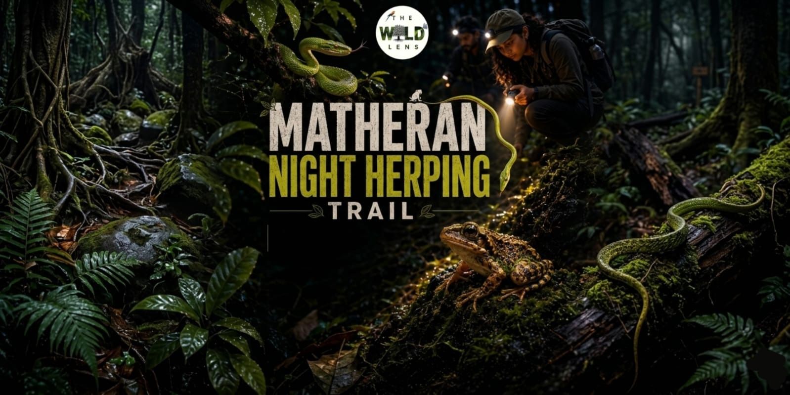 media-desktop-matheran-night-herping-trail-0-2026-7-10-t-10-36-7.jpg