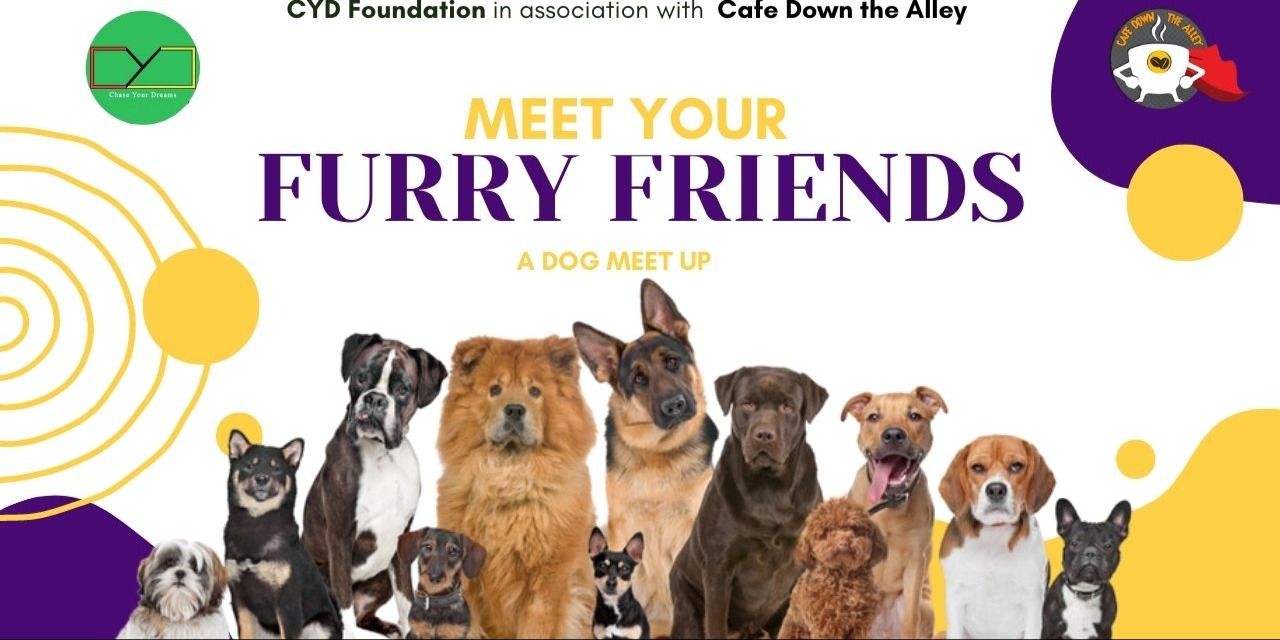 media-desktop-meet-your-furry-friends-a-dog-meetup-0-2023-8-5-t-4-49-56.jpg