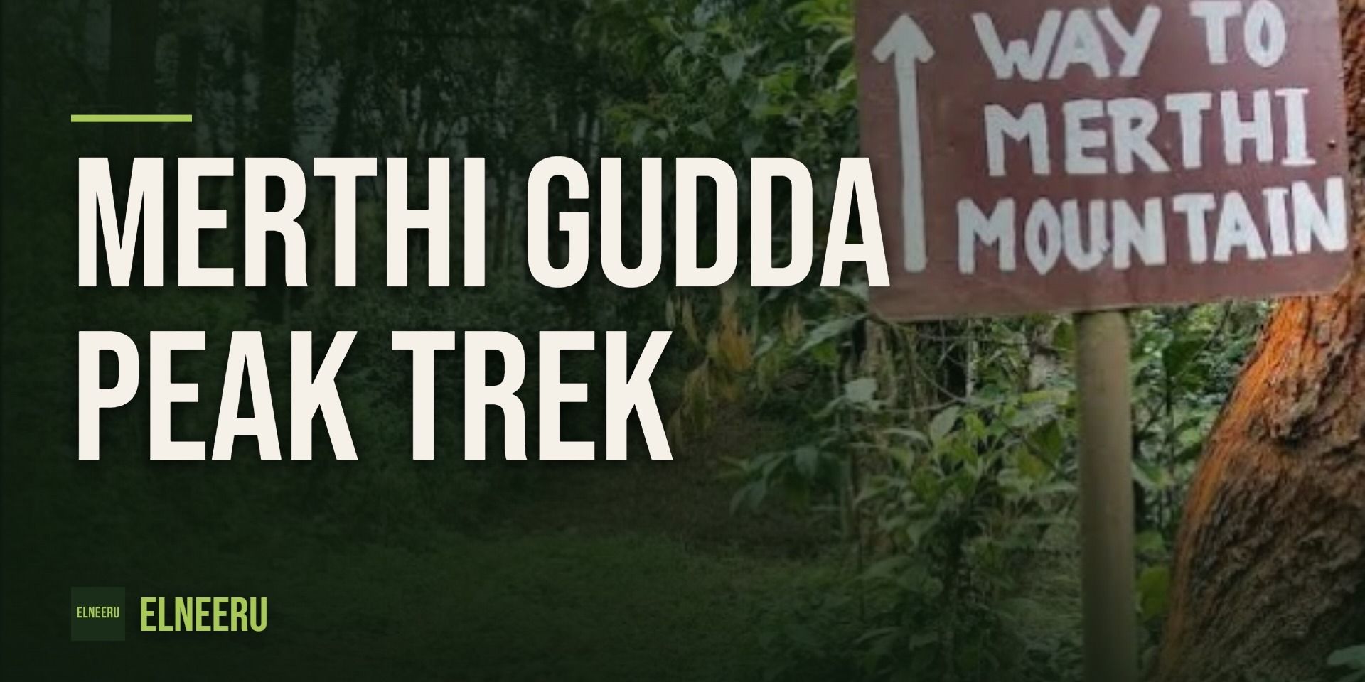 Merthi Gudda Peak Trek by elneeru.in in Bengaluru