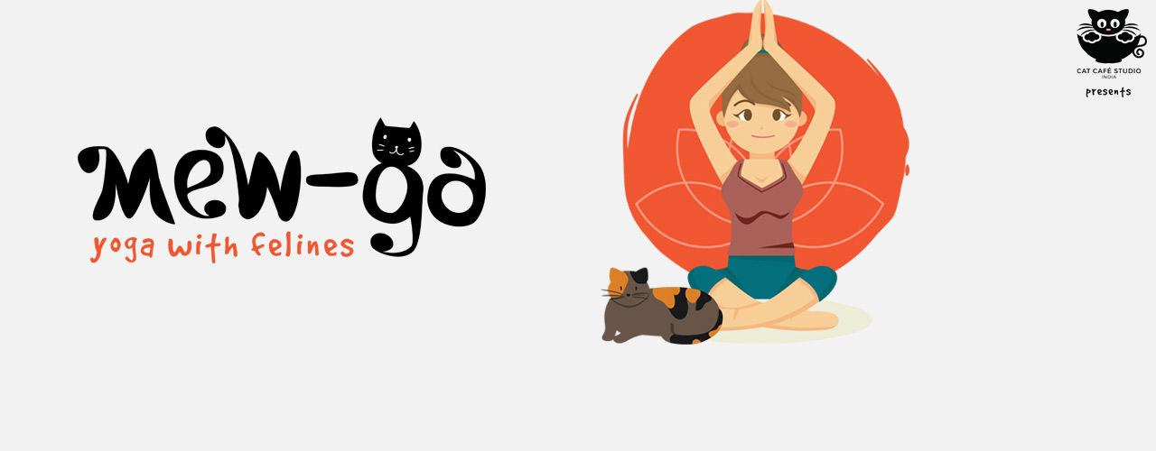 media-desktop-mew-ga-20-yoga-with-cats-2019-1-28-t-21-7-40.jpg