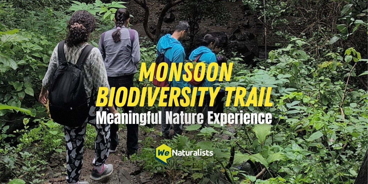 media-desktop-monsoon-biodiversity-trail-bnhs-0-2026-5-27-t-8-34-22.jpg