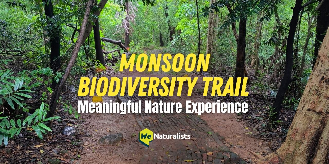 media-desktop-monsoon-biodiversity-trail-mnp-0-2025-9-26-t-5-37-30.jpg