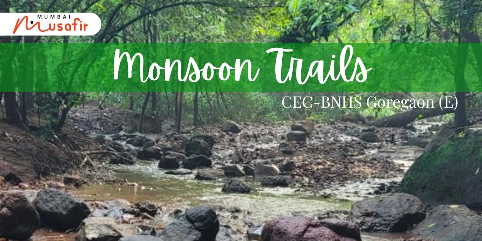 media-desktop-monsoon-trail-at-bnhs-cec-forest-0-2026-6-25-t-12-22-8.jpg