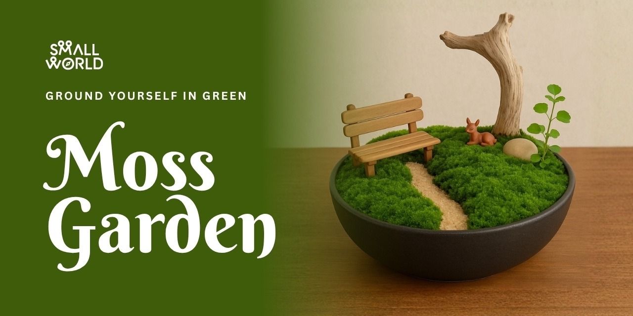 media-desktop-moss-garden-0-2025-11-19-t-4-27-16.jpg