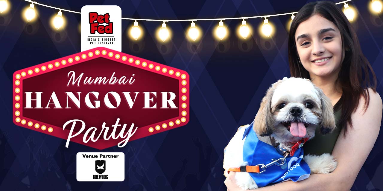 media-desktop-mumbai-hangover-party-0-2024-3-4-t-10-55-37.jpg