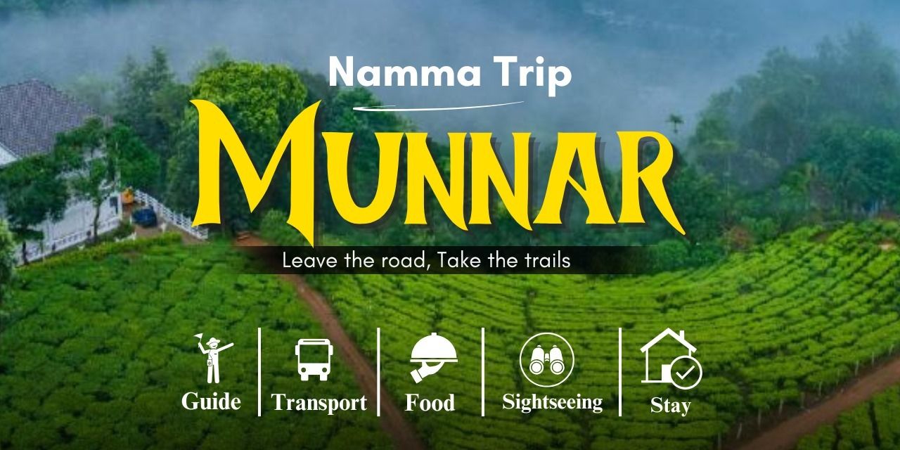 media-desktop-munnar-backpacking-tour-by-namma-trip-0-2025-3-3-t-5-36-38.jpg