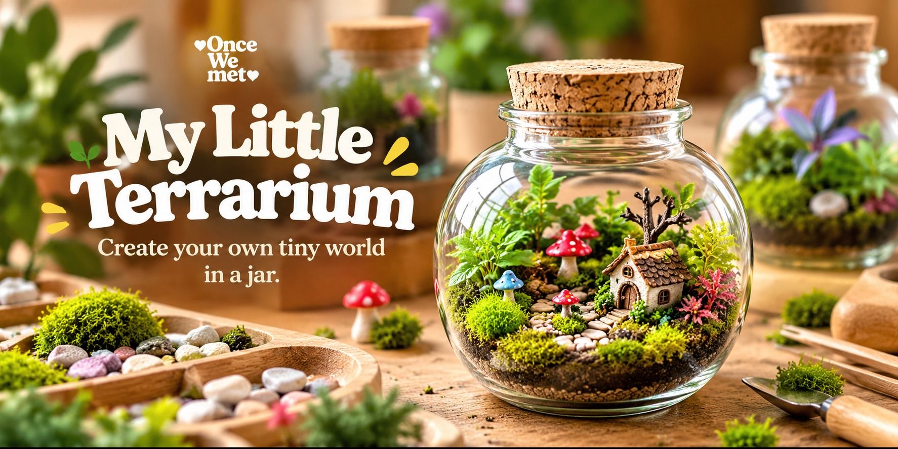 My Little Terrarium in Delhi