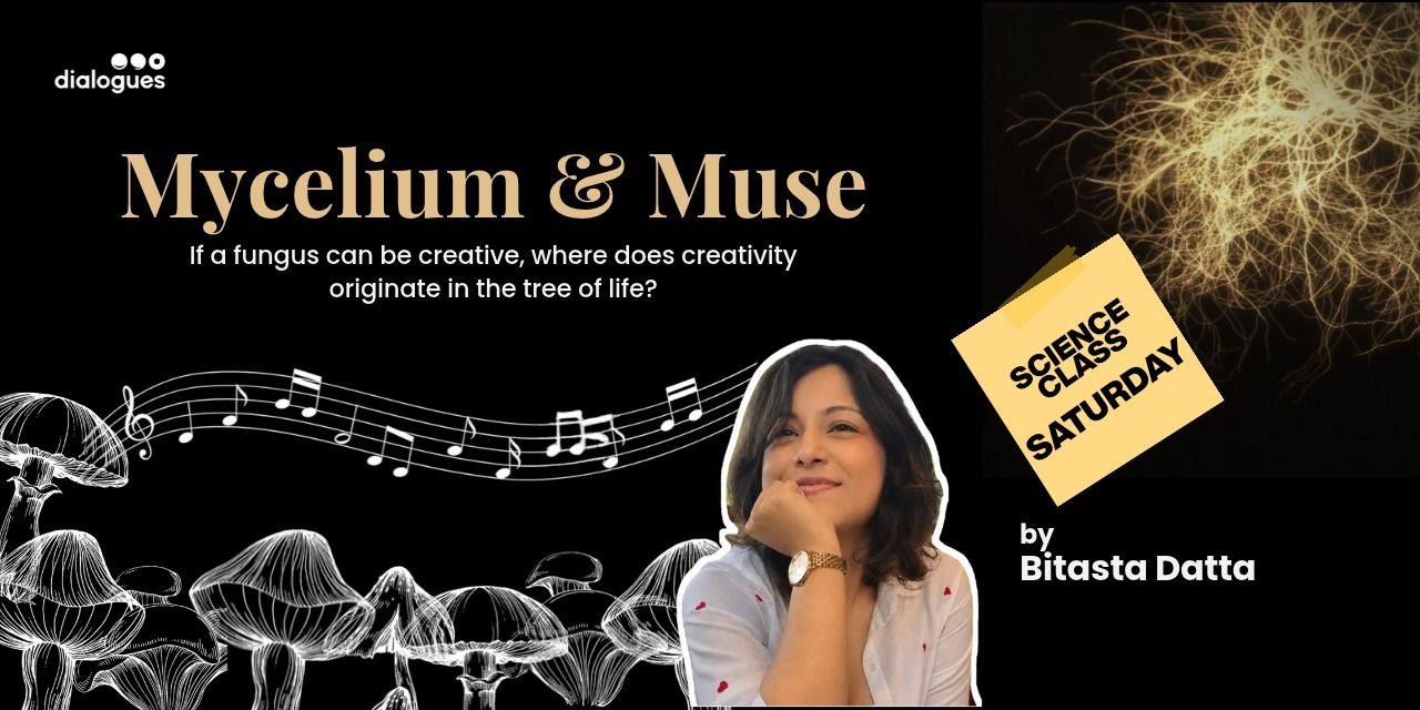 media-desktop-mycelium-and-muse-interactive-science-class-0-2026-10-26-t-13-42-2.jpg